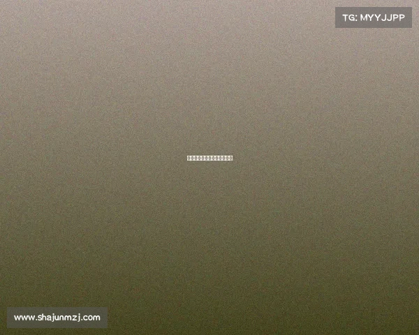 法国国内赛事—法国比赛记录